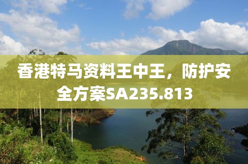 香港特马资料王中王，防护安全方案SA235.813