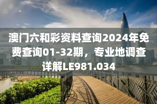 澳门六和彩资料查询2024年免费查询01-32期，专业地调查详解LE981.034