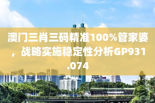 澳门三肖三码精准100%管家婆，战略实施稳定性分析GP931.074
