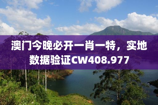 澳门今晚必开一肖一特，实地数据验证CW408.977