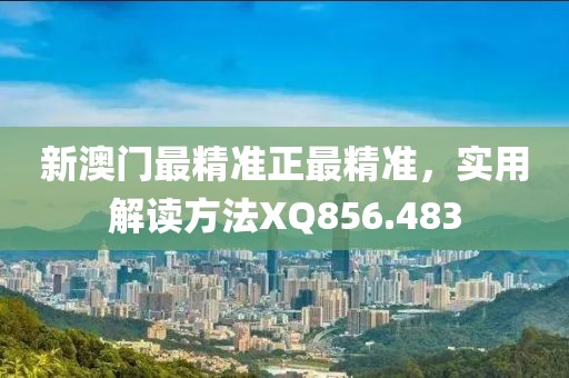 新澳门最精准正最精准，实用解读方法XQ856.483