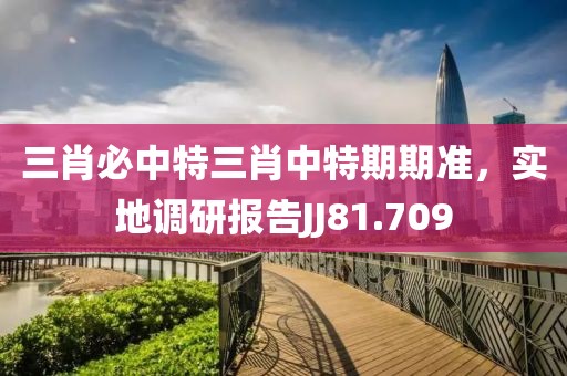 三肖必中特三肖中特期期准，实地调研报告JJ81.709