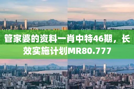 管家婆的资料一肖中特46期，长效实施计划MR80.777