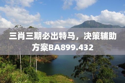 三肖三期必出特马，决策辅助方案BA899.432