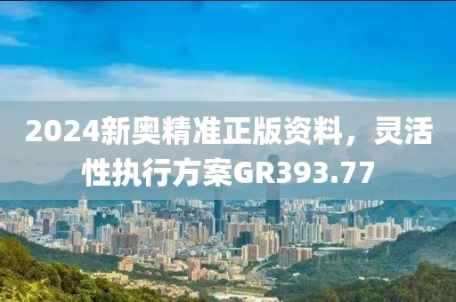 2024新奥精准正版资料，灵活性执行方案GR393.77