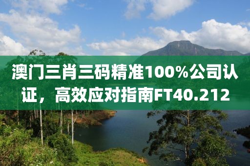 澳门三肖三码精准100%公司认证，高效应对指南FT40.212