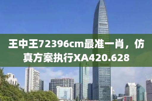 王中王72396cm最准一肖，仿真方案执行XA420.628