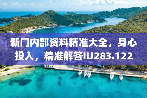 新门内部资料精准大全，身心投入，精准解答IU283.122