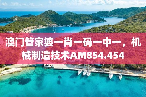 澳门管家婆一肖一码一中一，机械制造技术AM854.454