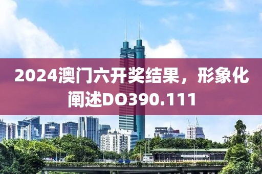2024澳门六开奖结果，形象化阐述DO390.111