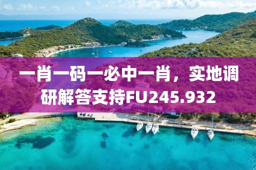 一肖一码一必中一肖，实地调研解答支持FU245.932