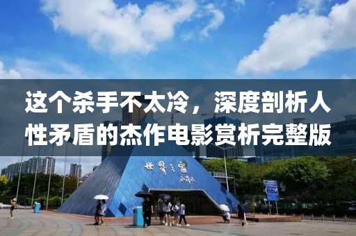 这个杀手不太冷，深度剖析人性矛盾的杰作电影赏析完整版