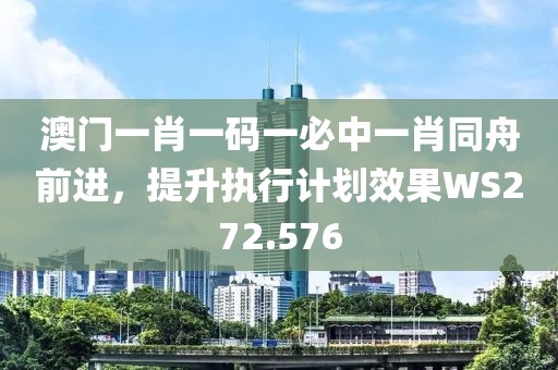 澳门一肖一码一必中一肖同舟前进，提升执行计划效果WS272.576