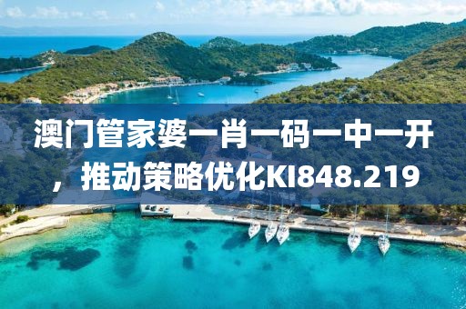 澳门管家婆一肖一码一中一开，推动策略优化KI848.219