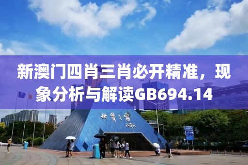 新澳门四肖三肖必开精准，现象分析与解读GB694.14