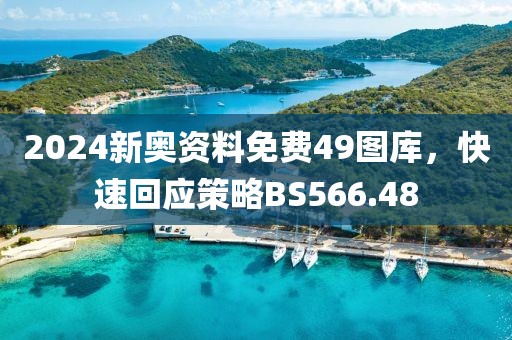 2024新奥资料免费49图库，快速回应策略BS566.48