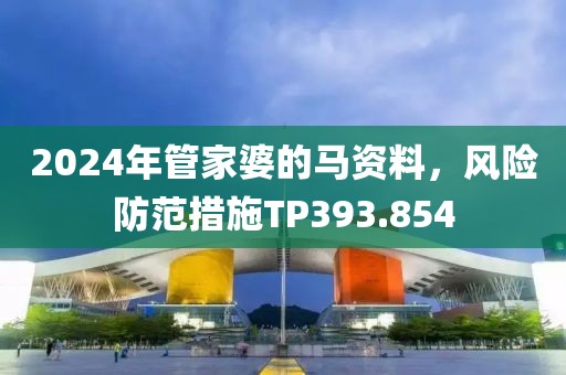 2024年管家婆的马资料，风险防范措施TP393.854