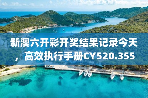 新澳六开彩开奖结果记录今天，高效执行手册CY520.355