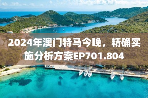 2024年澳门特马今晚，精确实施分析方案EP701.804