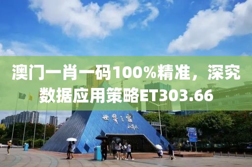 澳门一肖一码100%精准，深究数据应用策略ET303.66