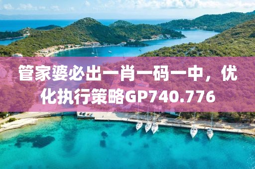 管家婆必出一肖一码一中，优化执行策略GP740.776