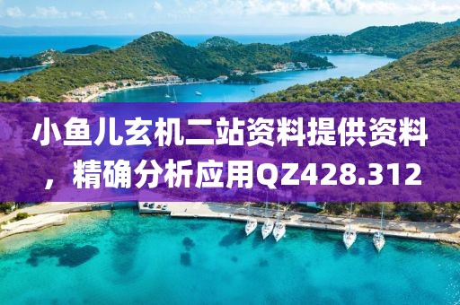 小鱼儿玄机二站资料提供资料，精确分析应用QZ428.312
