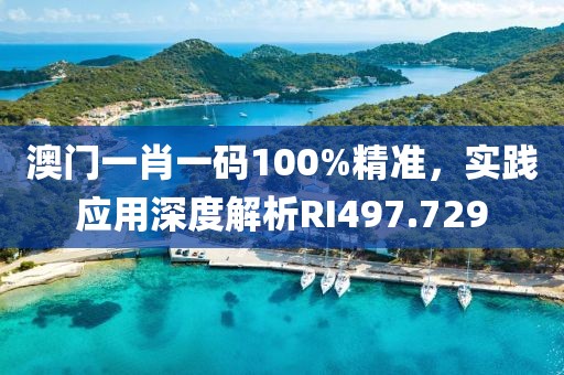 澳门一肖一码100%精准，实践应用深度解析RI497.729