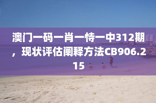 澳门一码一肖一恃一中312期，现状评估阐释方法CB906.215