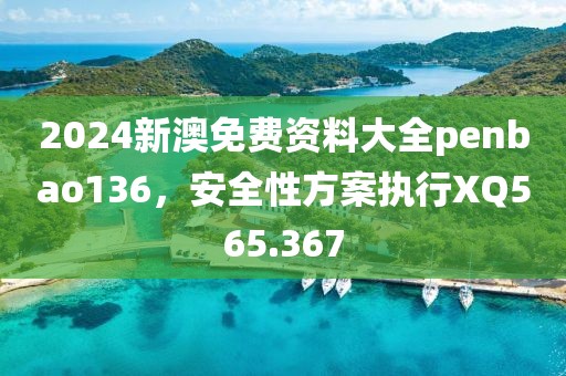 2024新澳免费资料大全penbao136，安全性方案执行XQ565.367