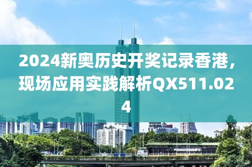 2024新奥历史开奖记录香港，现场应用实践解析QX511.024
