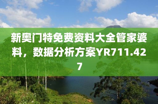 新奥门特免费资料大全管家婆料，数据分析方案YR711.427