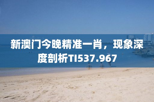 新澳门今晚精准一肖，现象深度剖析TI537.967