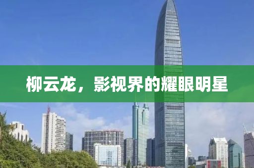 柳云龙，影视界的耀眼明星