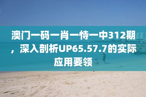 澳门一码一肖一恃一中312期，深入剖析UP65.57.7的实际应用要领