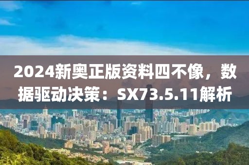 2024新奥正版资料四不像，数据驱动决策：SX73.5.11解析