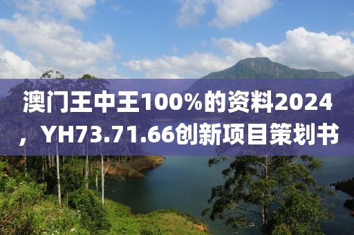 澳门王中王100%的资料2024，YH73.71.66创新项目策划书
