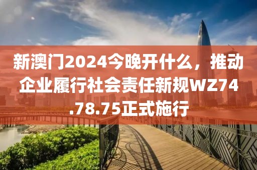 新澳门2024今晚开什么，推动企业履行社会责任新规WZ74.78.75正式施行