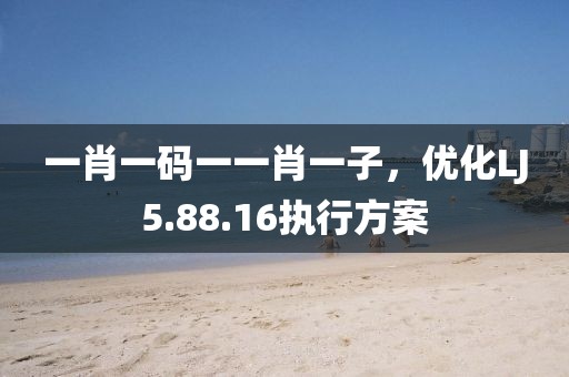 一肖一码一一肖一子，优化LJ5.88.16执行方案