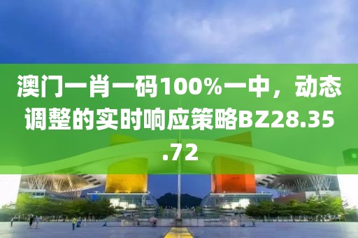 澳门一肖一码100%一中，动态调整的实时响应策略BZ28.35.72