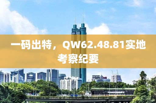 一码出特，QW62.48.81实地考察纪要
