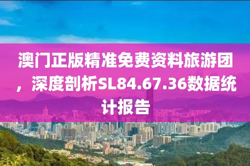 澳门正版精准免费资料旅游团，深度剖析SL84.67.36数据统计报告