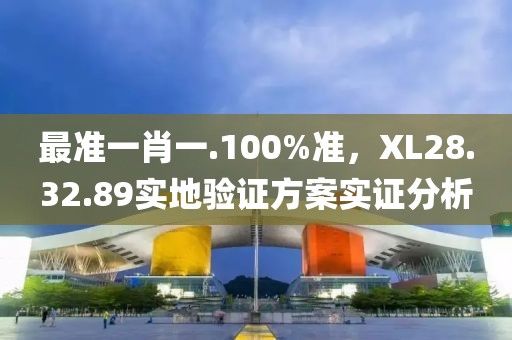 最准一肖一.100%准，XL28.32.89实地验证方案实证分析