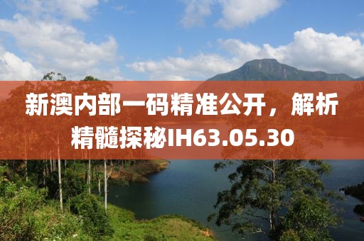 新澳内部一码精准公开，解析精髓探秘IH63.05.30