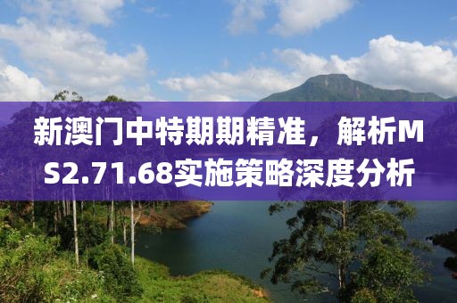 新澳门中特期期精准，解析MS2.71.68实施策略深度分析
