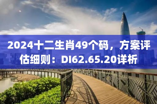 2024十二生肖49个码，方案评估细则：DI62.65.20详析