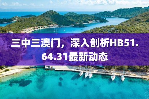 三中三澳门，深入剖析HB51.64.31最新动态