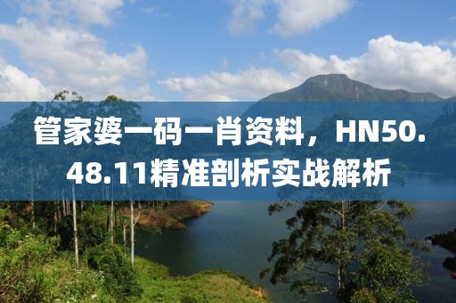 管家婆一码一肖资料，HN50.48.11精准剖析实战解析