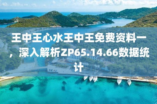 王中王心水王中王免费资料一，深入解析ZP65.14.66数据统计