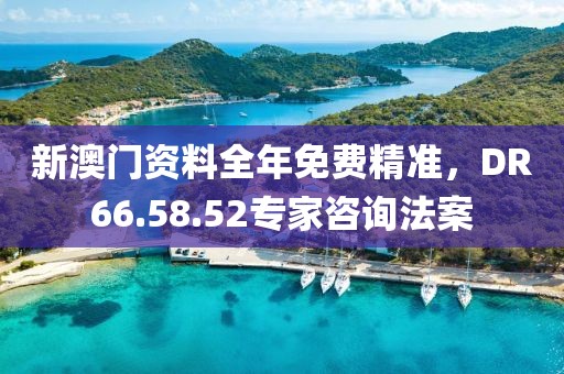 新澳门资料全年免费精准，DR66.58.52专家咨询法案