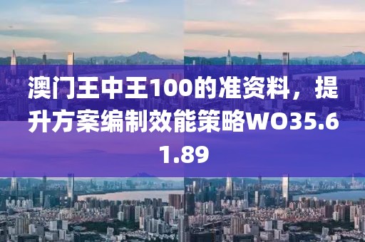 澳门王中王100的准资料，提升方案编制效能策略WO35.61.89